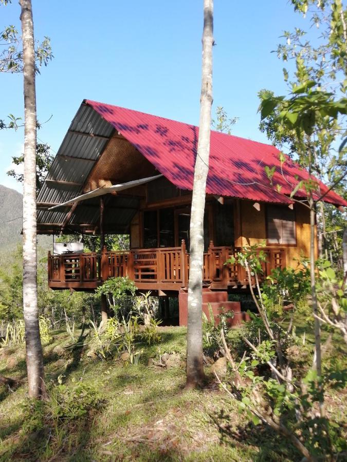 Villa Nagtabon Пуэрто-Принцеса Экстерьер фото